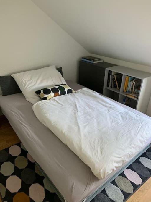 Wohnung Mit Einer Sauna Direkt Am Park Wiesbaden Zewnętrze zdjęcie